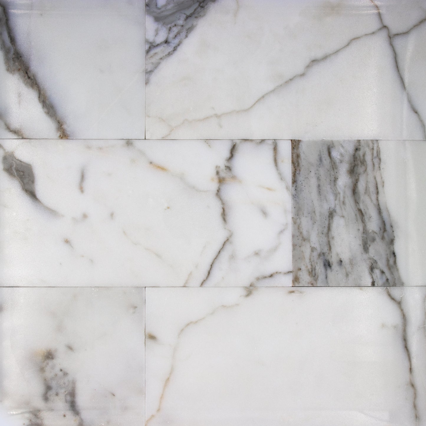 Calacatta Gold 6x12 Tile