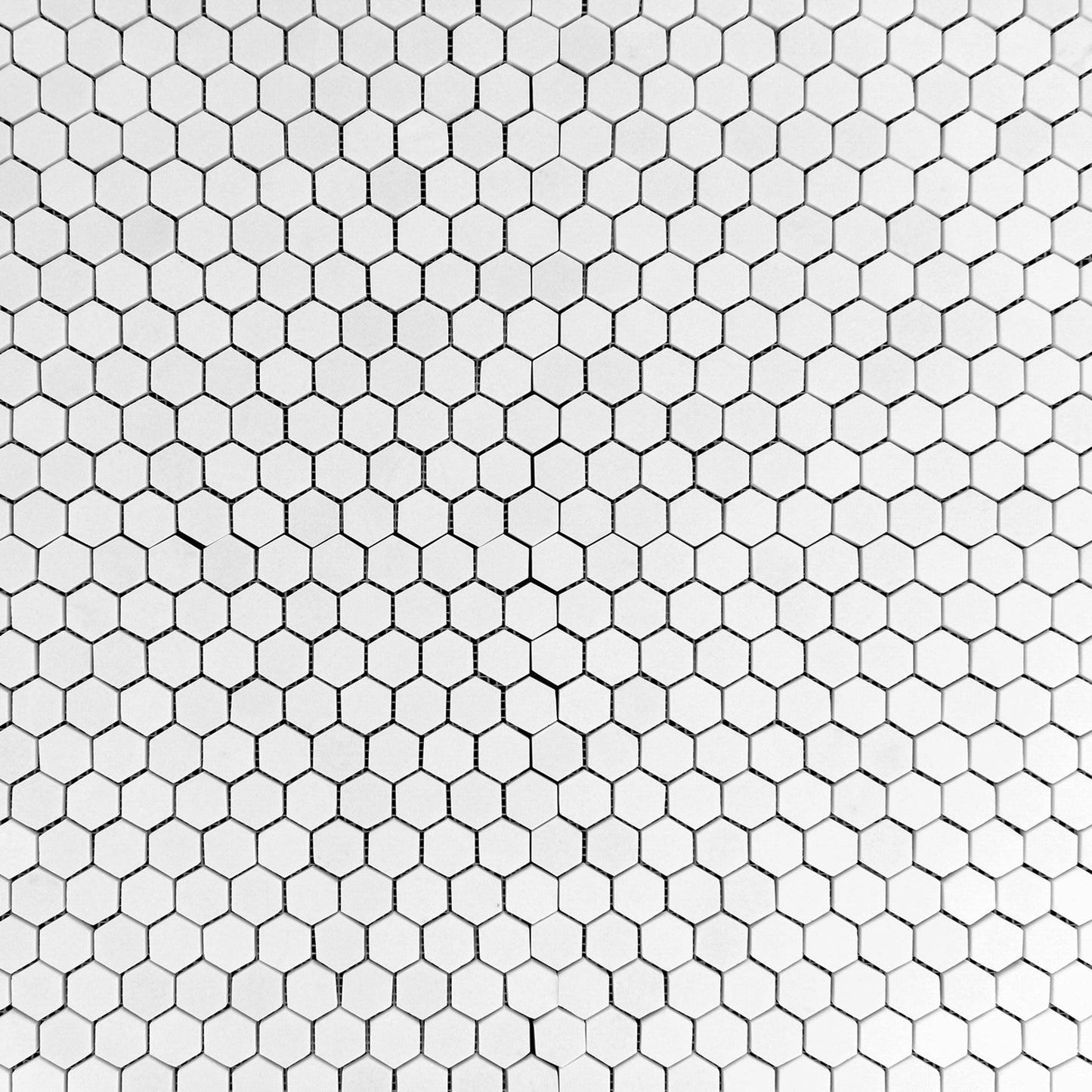 Thassos Hexagon 1" Mosaic